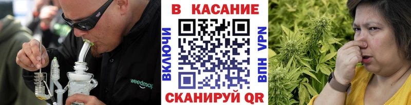 Гашиш Кингисепп