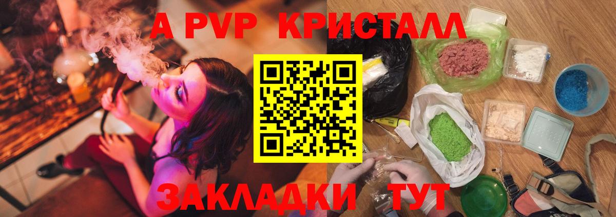 A PVP СК КРИС Кингисепп
