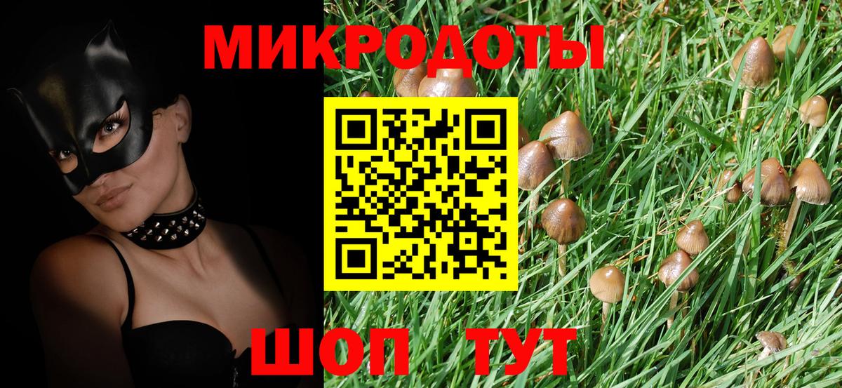 Псилоцибиновые грибы GOLDEN TEACHER Кингисепп