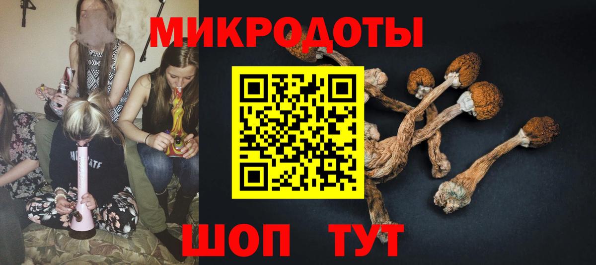 Псилоцибиновые грибы Psilocybe  Вход с VPN  Кингисепп 
