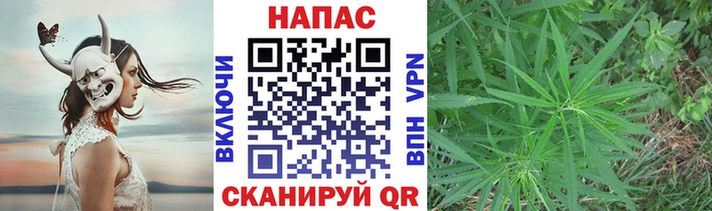 Бошки марихуана OG Kush  хочу   Кингисепп 